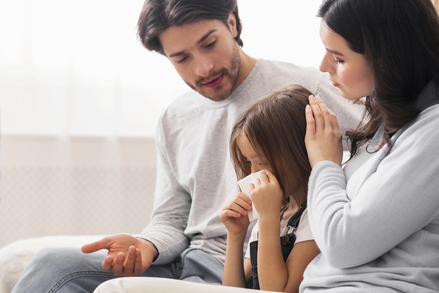 porodicna terapija czm